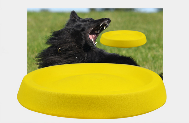 Pet Dogs Throwing Plastic Toys