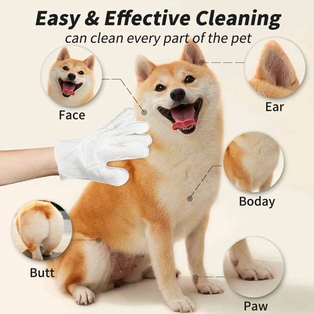 Disposable Dry Cleaning Products for Dogs and Cats