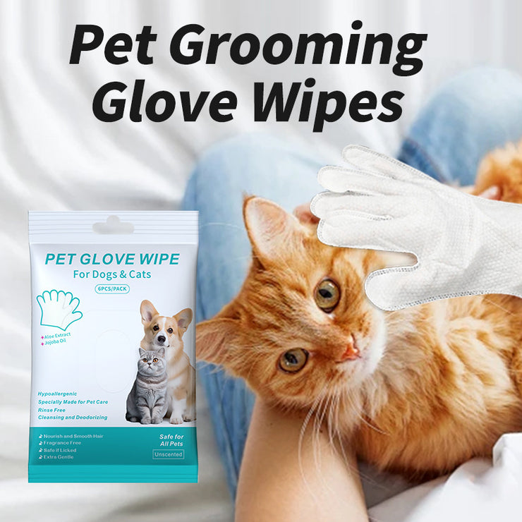 Disposable Dry Cleaning Products for Dogs and Cats