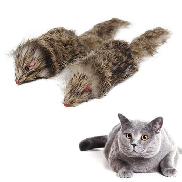 False Mouse - Pet Toy for Cats – Cololo Pet Store