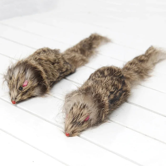 False Mouse - Pet Toy for Cats – Cololo Pet Store