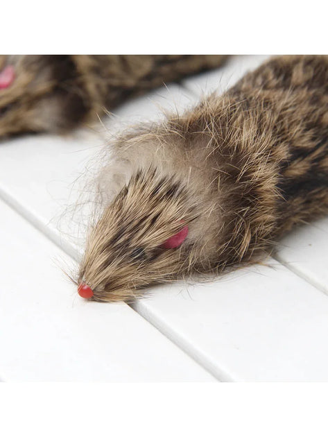 False Mouse - Pet Toy for Cats – Cololo Pet Store